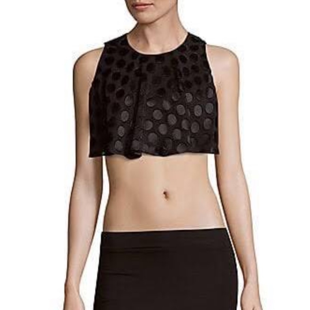Cushnie et Ochs Cropped Top